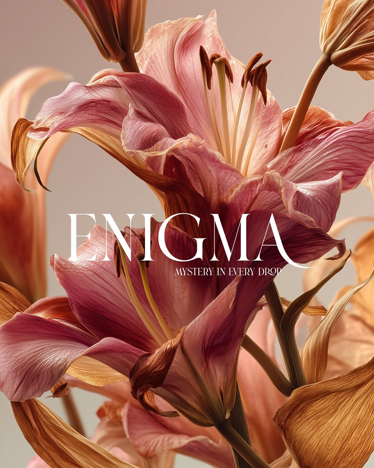 ENIGMA 4