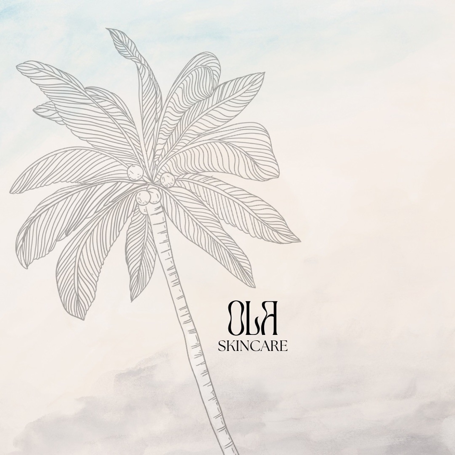 OLA Skincare 2
